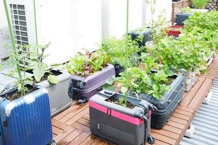 eco 庭プロジェクト