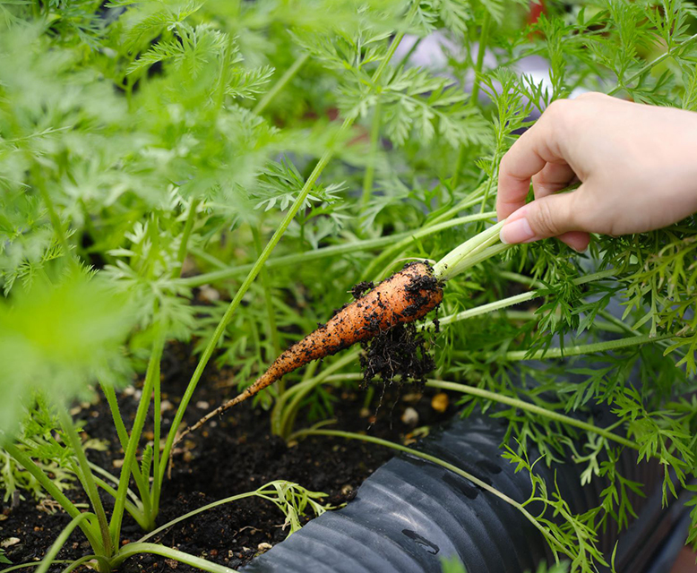 屋上庭園イメージ01