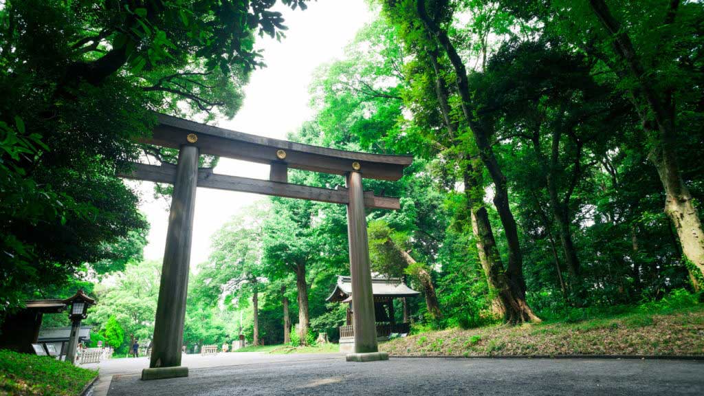 Meiji Jingu / 明治神宮