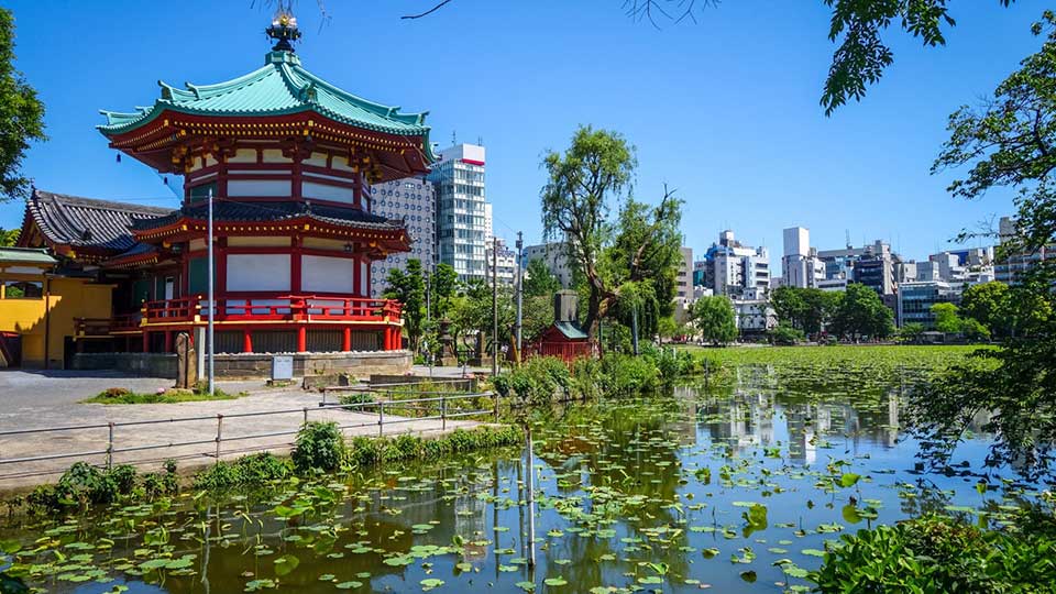 Ueno Park / 上野恩賜公園