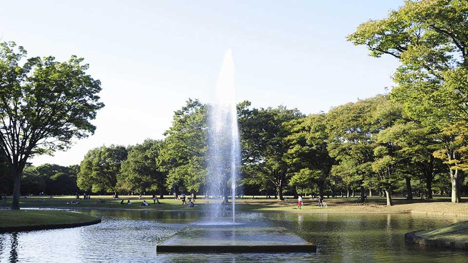 Yoyogi Park / 代々木公園