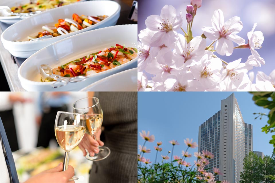 Spring Party Package