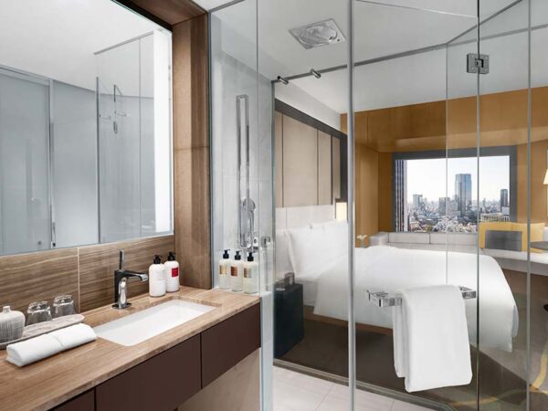 1King Classic Club Lounge Access Bathroom