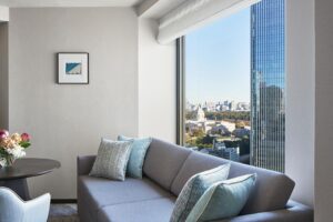 Mizu Suite