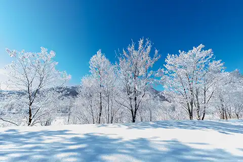 Furano